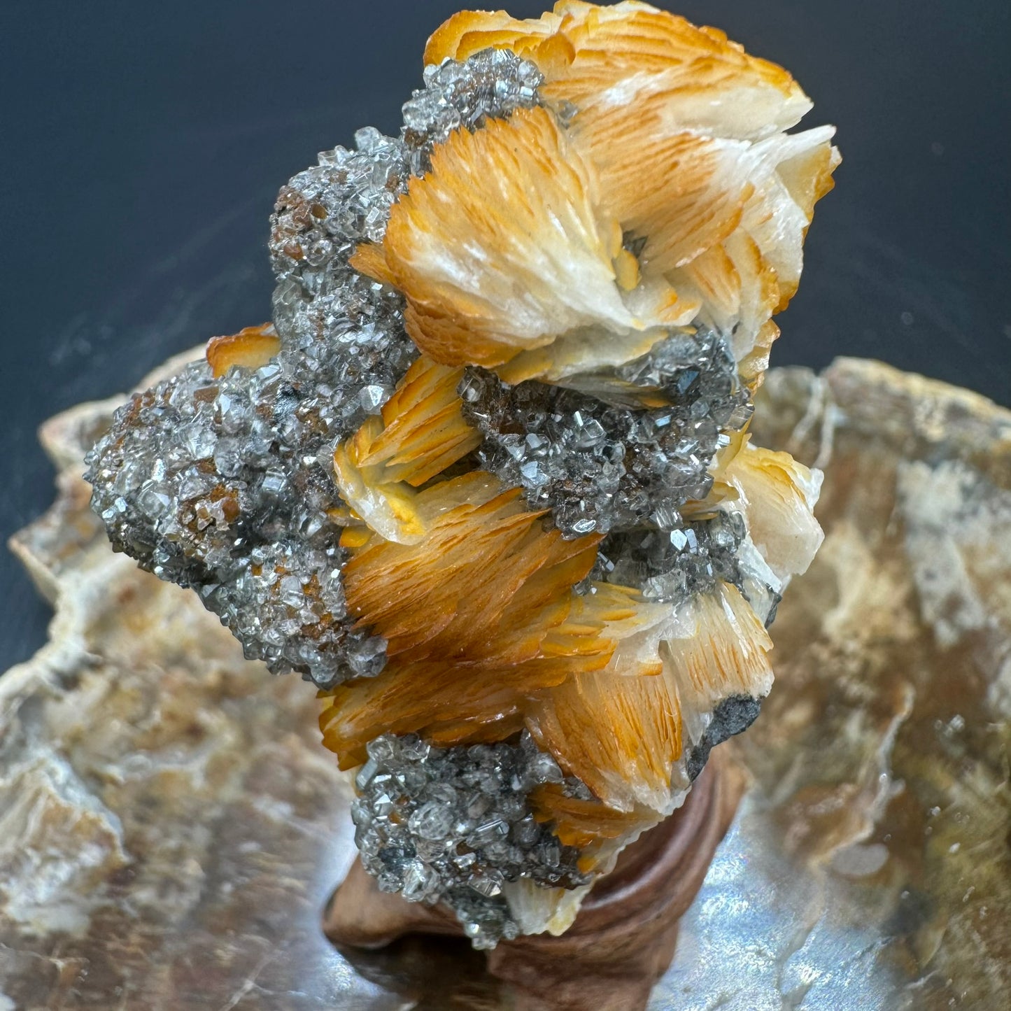 Galena with Barite and Cerrusite 4A - Beautiful Contrast!