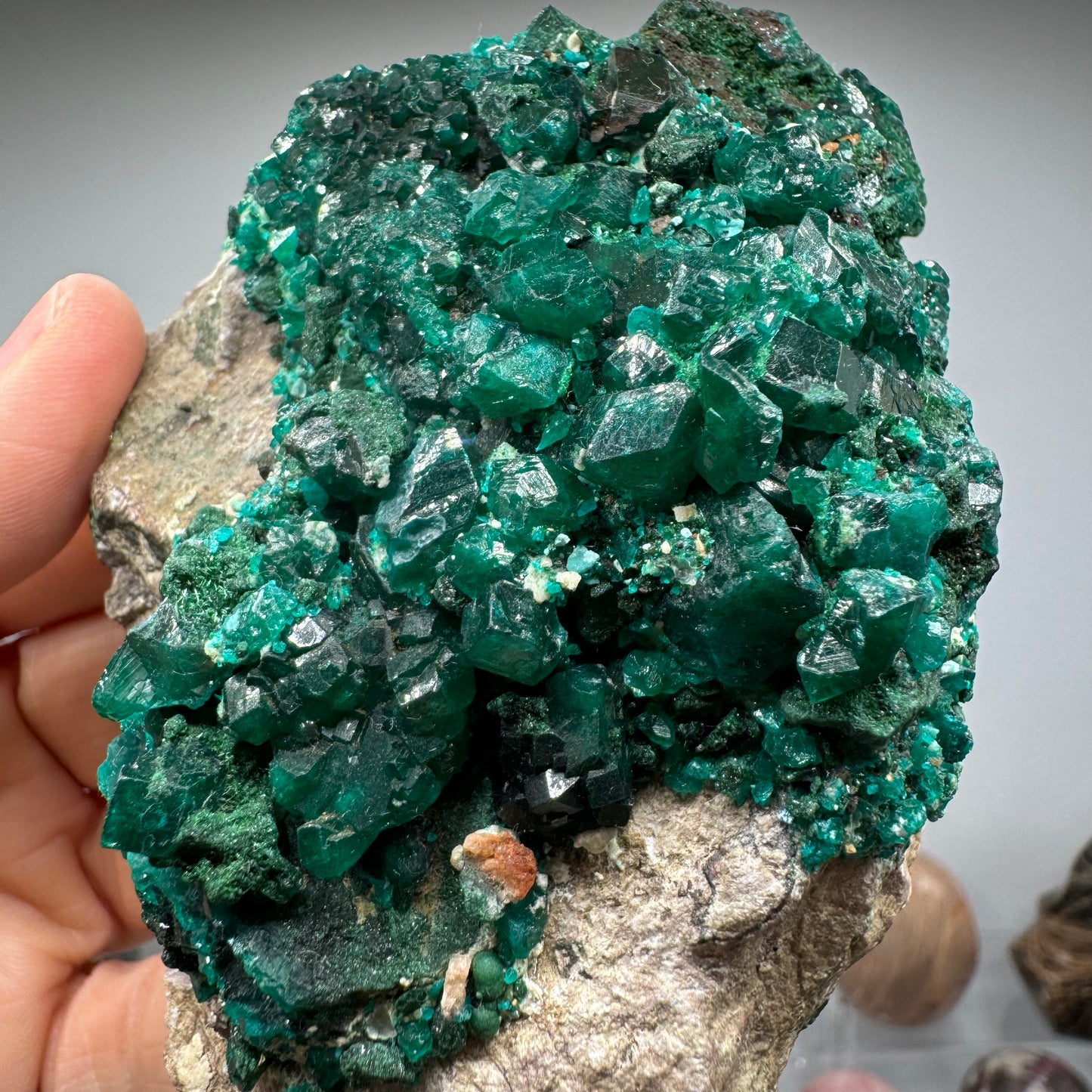 Dioptase with Lustrous Terminations!