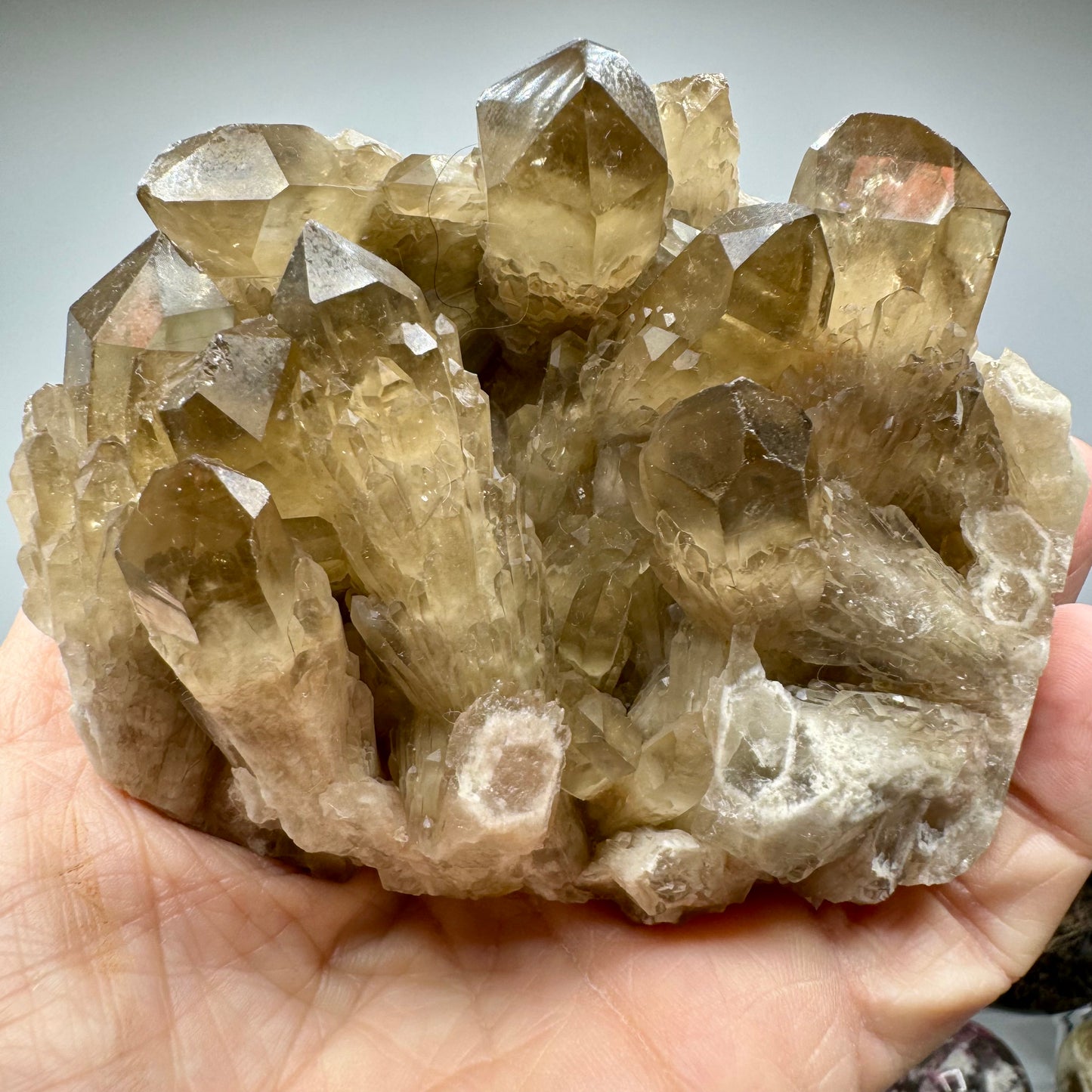 Citrine from Zambia 8A