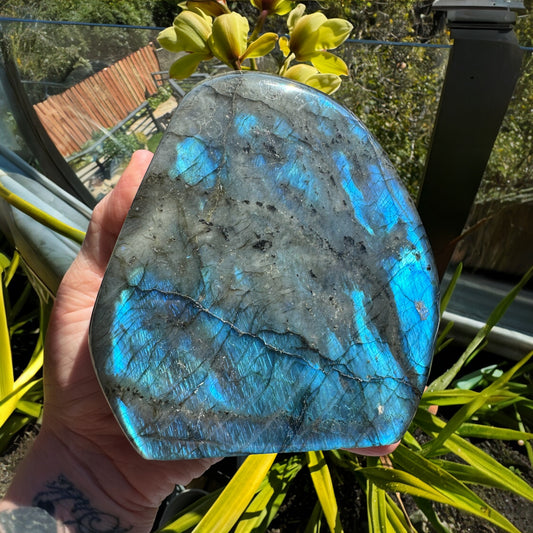 Labradorite Blue Dual Sided Flash Freeform 2G