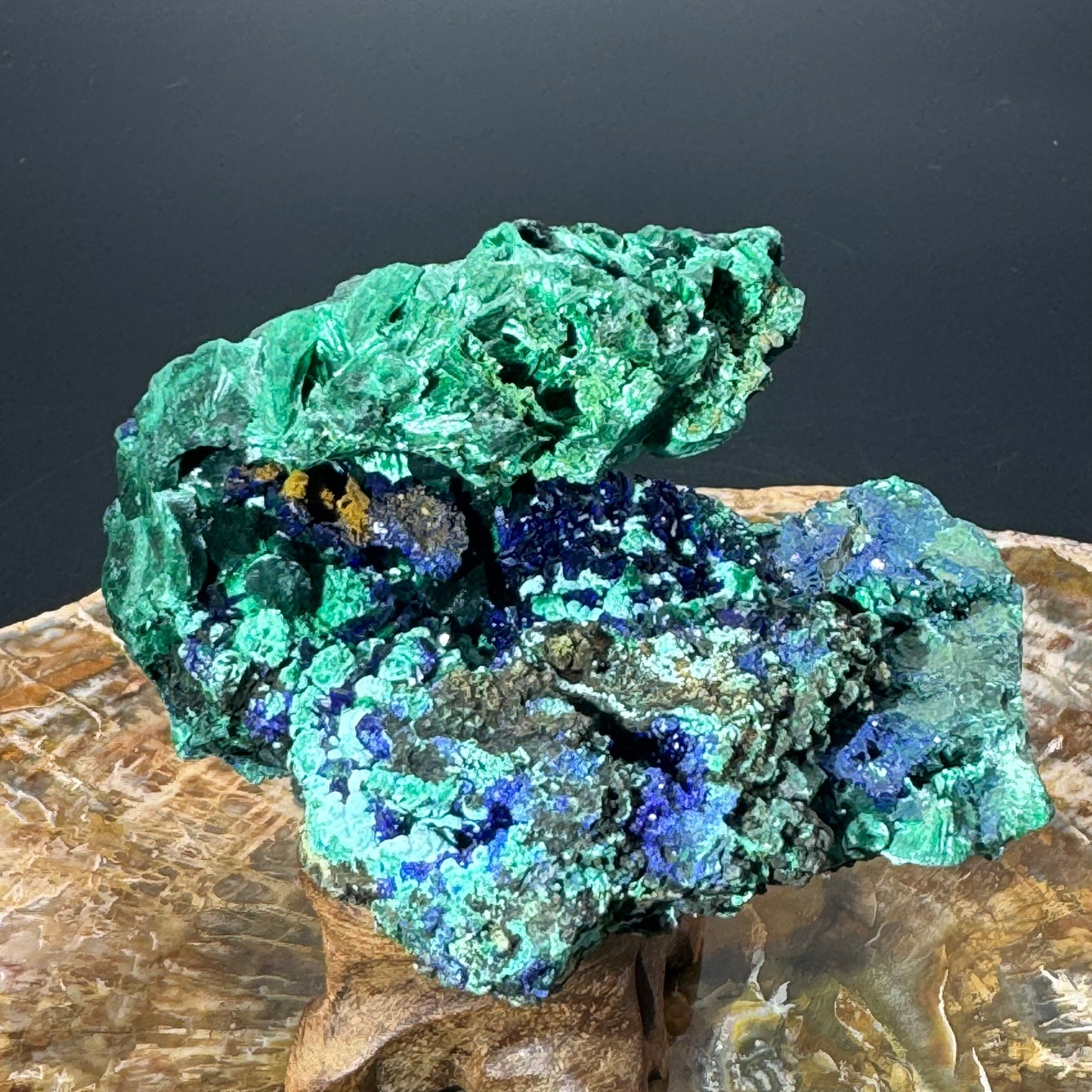 Azurite on Malachite - Unique Formation!