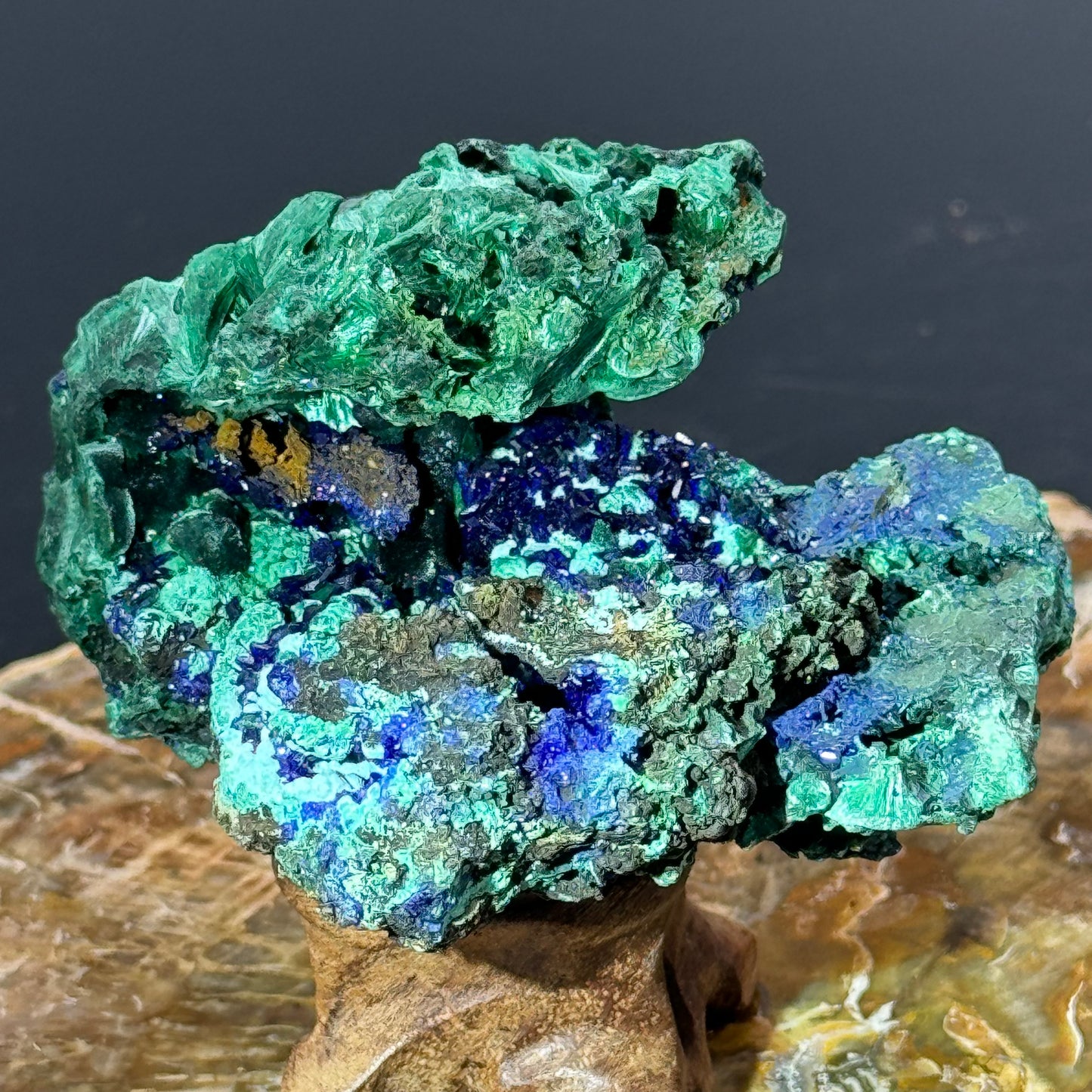 Azurite on Malachite - Unique Formation!