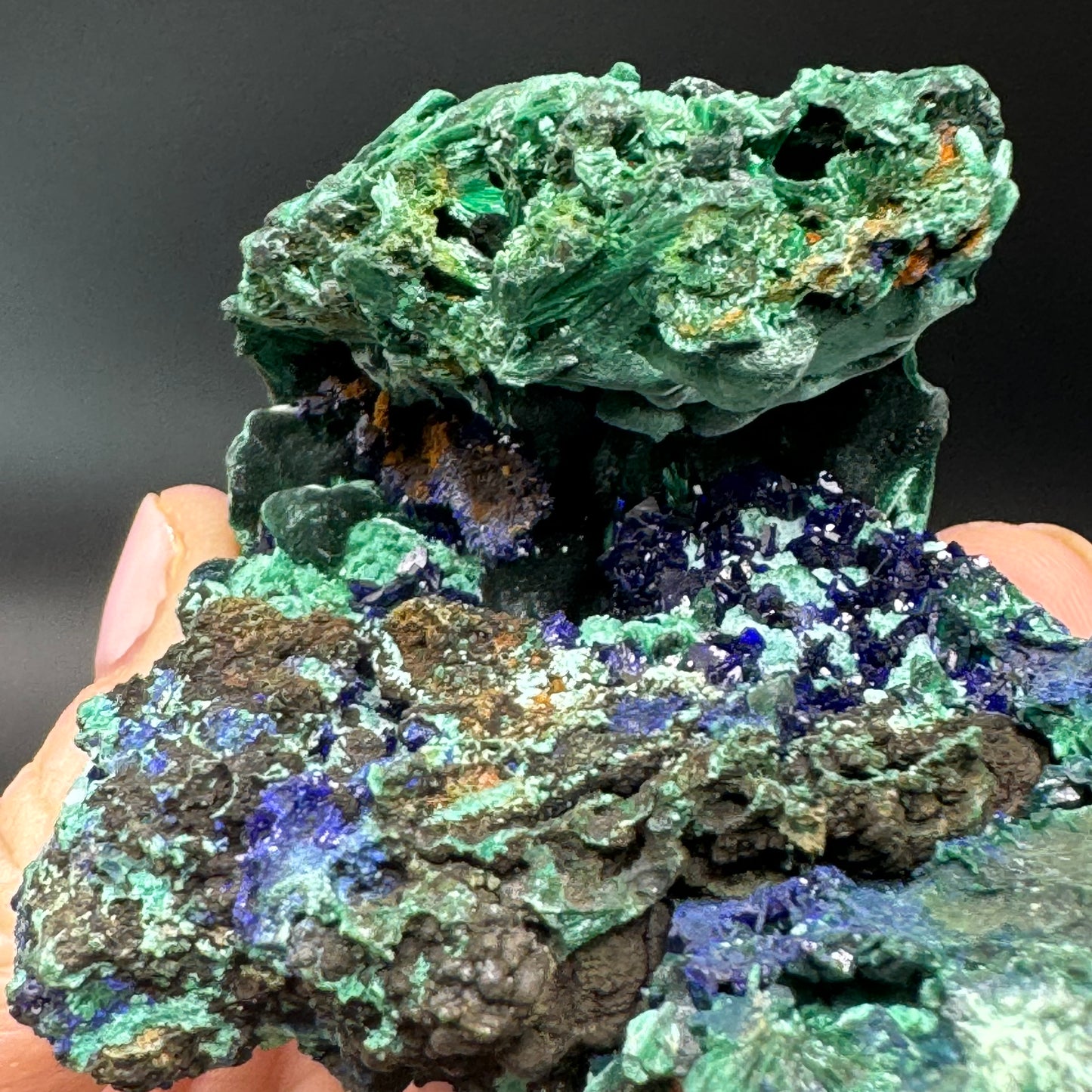 Azurite on Malachite - Unique Formation!