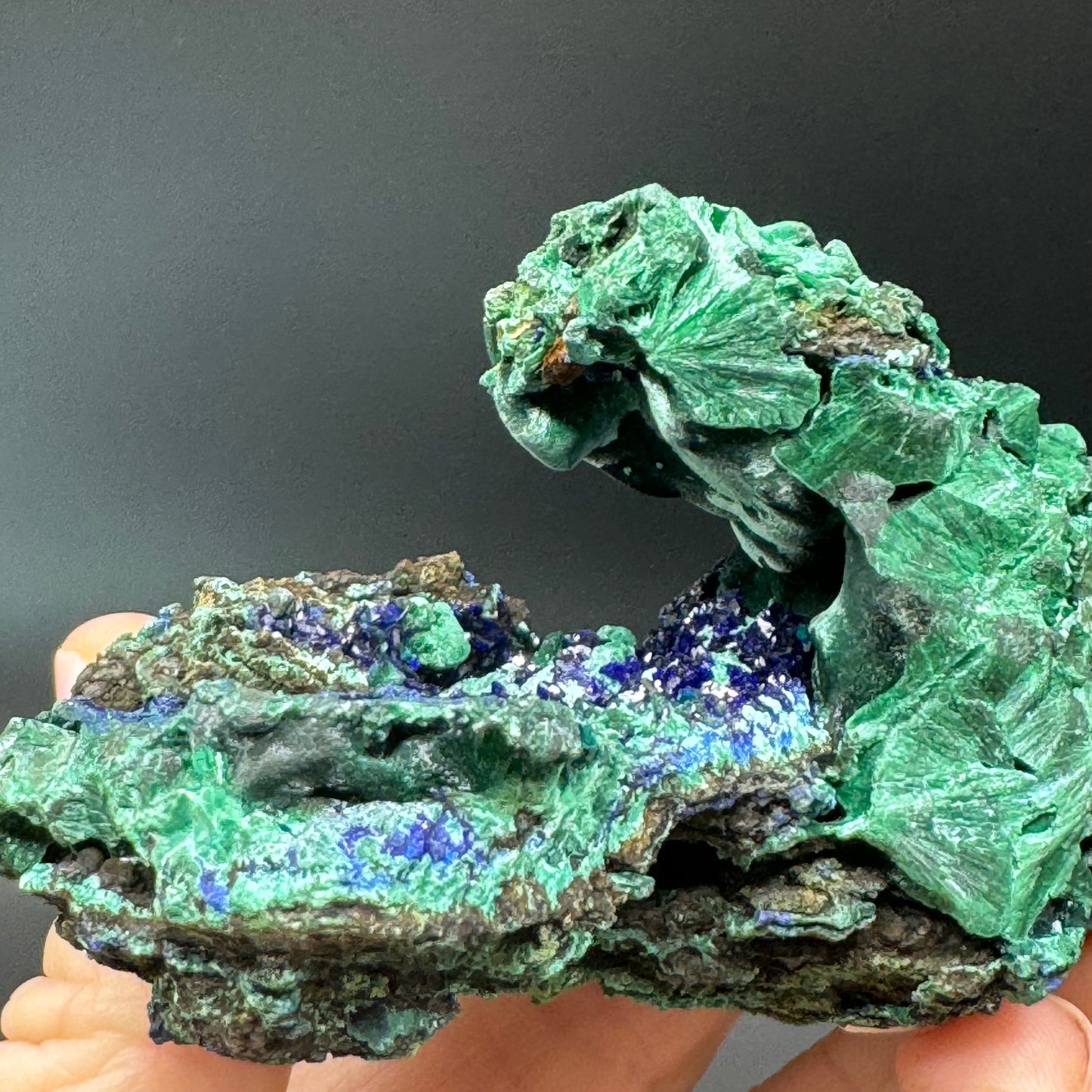 Azurite on Malachite - Unique Formation!