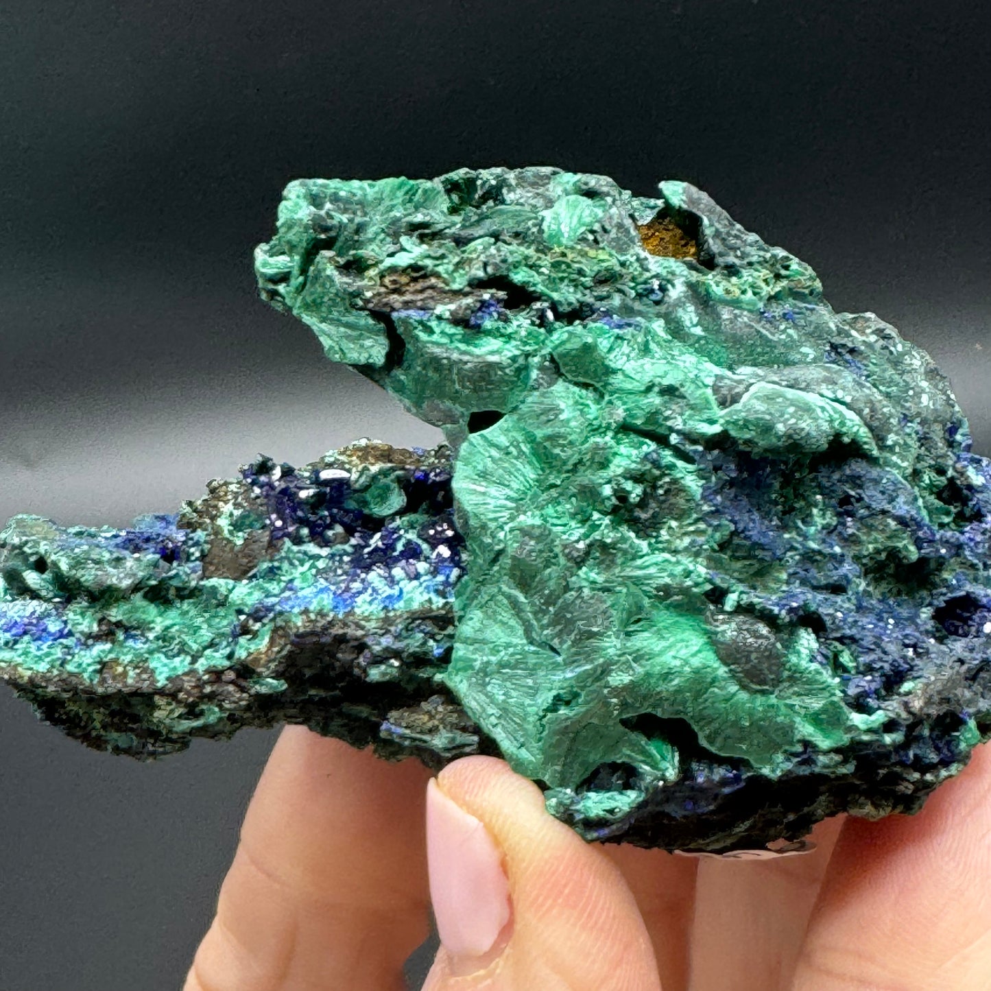 Azurite on Malachite - Unique Formation!