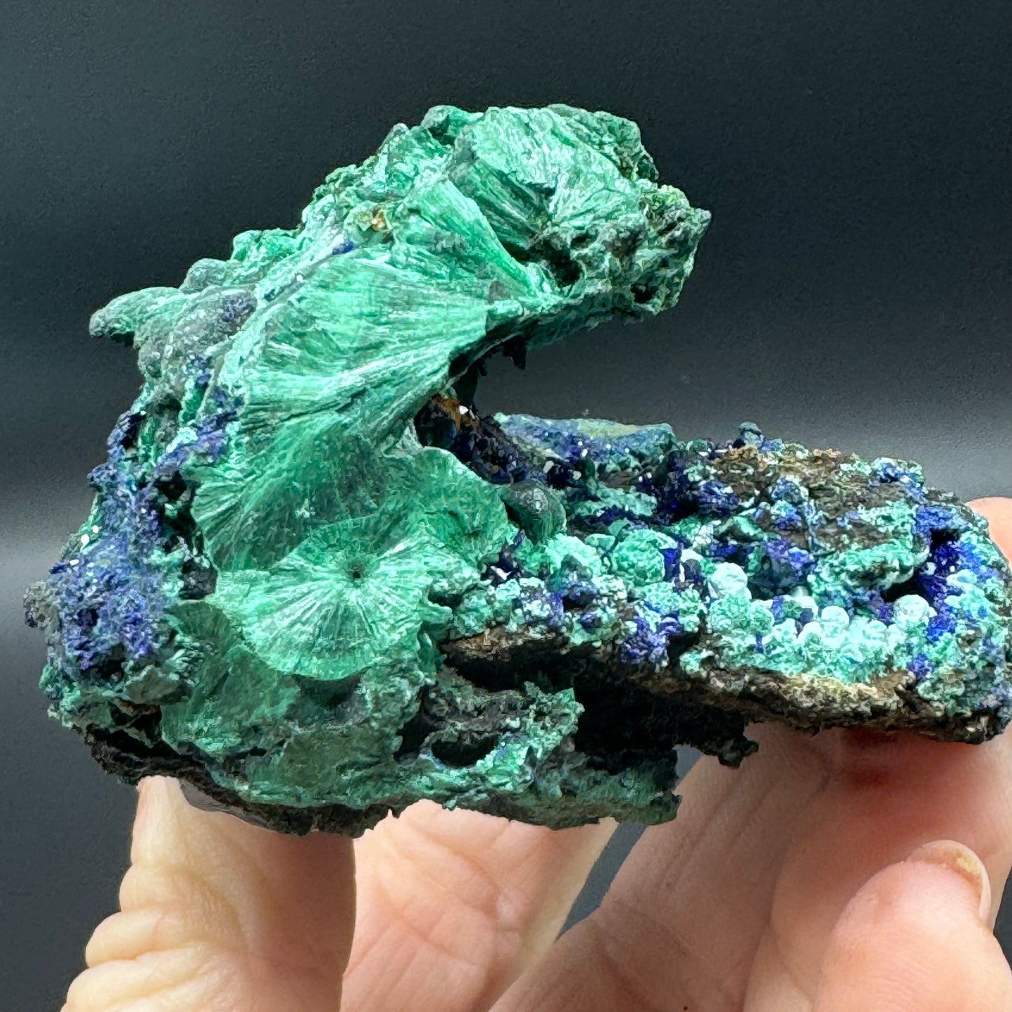 Azurite on Malachite - Unique Formation!