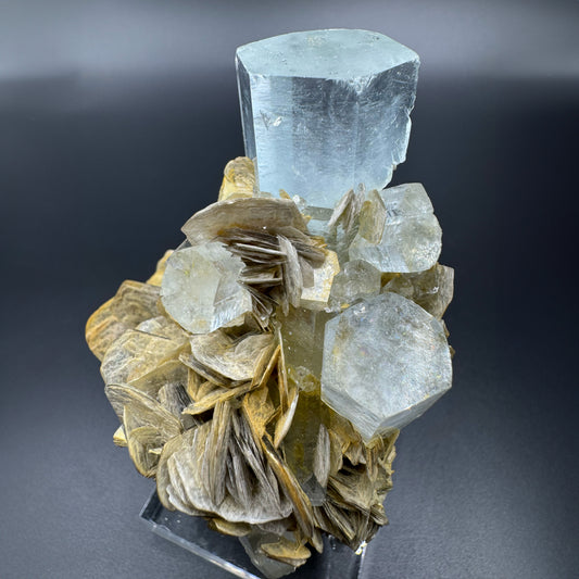 Aquamarine Beryls Nicely Terminated Nested in Muscovite Mica